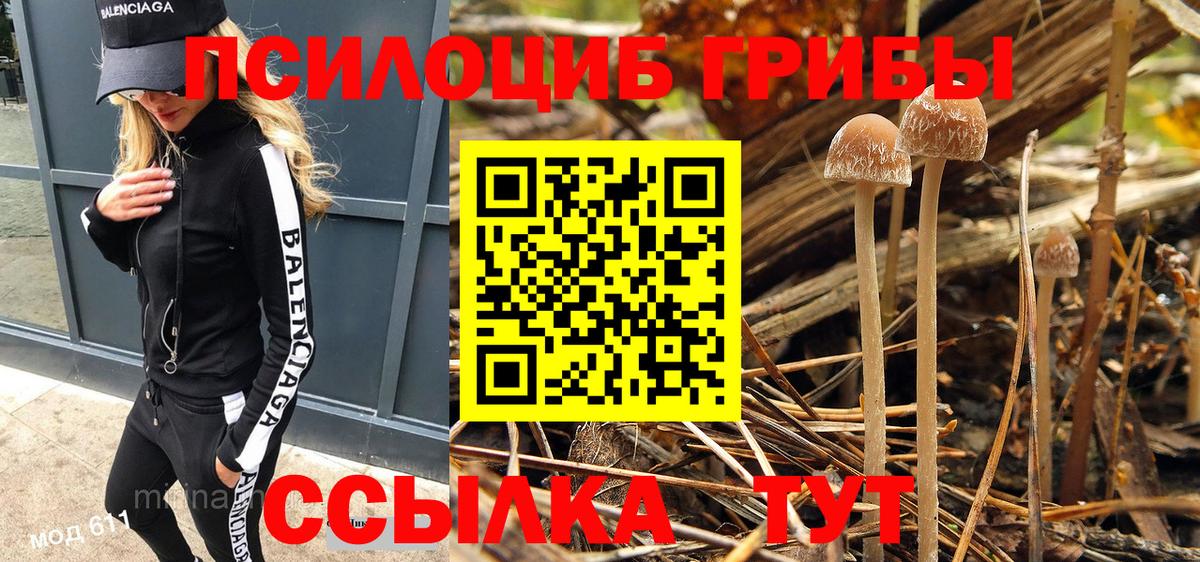 Галлюциногенные грибы мицелий  Галлюциногенные грибы Magic Shrooms  Выборг  Вход с VPN 