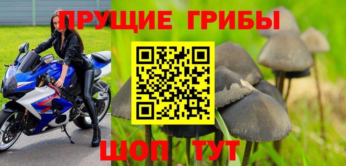 Галлюциногенные грибы ЛСД Выборг